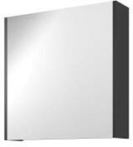 Proline Spiegelkast Comfort met spiegel op plaat aan binnenzijde 1 deur 60x14x60cm Mat zwart 1808556