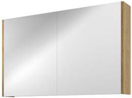 Proline Spiegelkast Comfort met spiegel op plaat aan binnenzijde 2 deuren 100x14x60cm Ideal oak 1808652