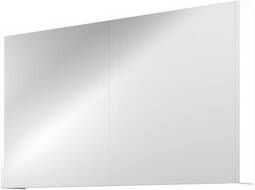 Proline Spiegelkast Comfort met spiegel op plaat aan binnenzijde 2 deuren 100x14x60cm Mat wit 1808655