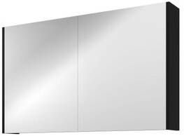 Proline Spiegelkast Comfort met spiegel op plaat aan binnenzijde 2 deuren 100x14x60cm Mat zwart 1808656