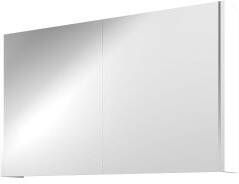 Proline Spiegelkast Xcellent met dubbel gespiegelde deuren 2 deuren 100x14x60cm Mat wit 1808905