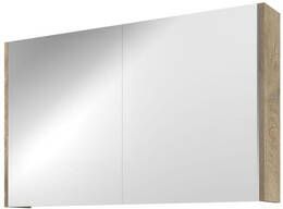 Proline Spiegelkast Xcellent met dubbel gespiegelde deuren 2 deuren 100x14x60cm Raw oak 1808901