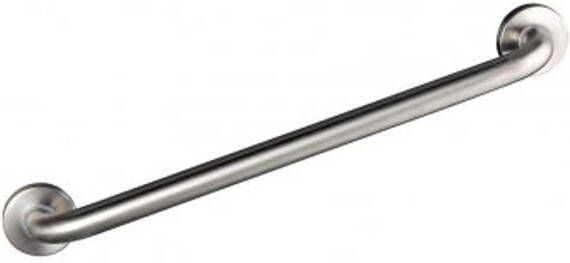 RIDDER Badkamer handgreep 60 cm geborsteld roestvrij staal A00160051