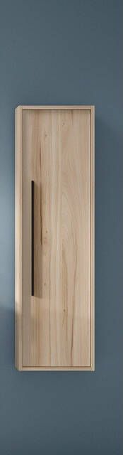 Saniclass Prime Essential Hoge Kast 120x35x35cm 1 deur beech (hout) MDF AQUA_HIGH_CABINET_Aliso