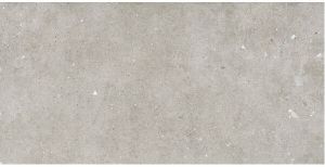 STN Ceramica Glamstone wand- en vloertegel 59.5x120cm 10mm gerectificeerd grijs SW07314029-2