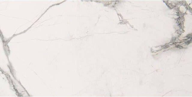 Vtwonen Classic Vloer- en wandtegel 30x60cm 10mm gerectificeerd R10 porcellanato White Light 1753763
