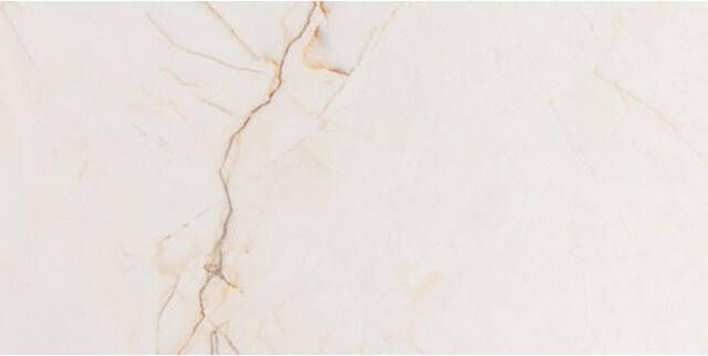 Vtwonen Classic Vloer- en wandtegel 30x60cm 10mm gerectificeerd R9 Caramel 1773926