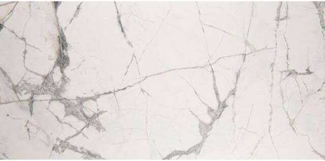 Vtwonen Classic Vloer- en wandtegel 74x148cm 10mm gerectificeerd R10 porcellanato White Light 1753742