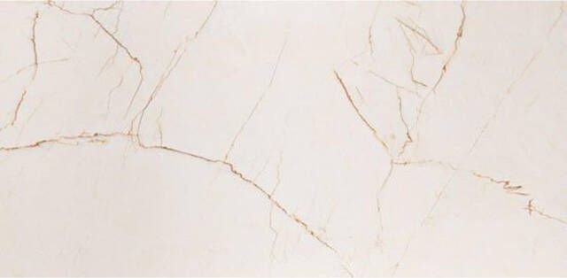 Vtwonen Classic Vloer- en wandtegel 74x148cm 10mm gerectificeerd R9 Caramel 1773931