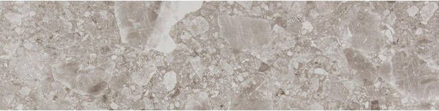 Vtwonen Composite Vloer- en wandtegel 15x60cm 9mm gerectificeerd R10 porcellanato Dark Grey 1013443