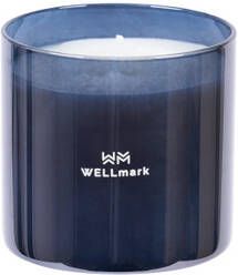 Wellmark Brave collection Geurkaars medium metallic grey 8720938454288