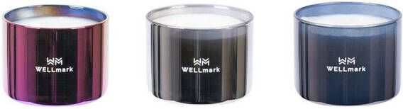 Wellmark Brave Collection Giftbox 3x geurkaars klein metallic purple silver grey 8720938454257
