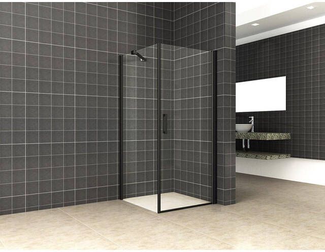 Wiesbaden Salone cabine met 1 draaideur 1000 x 1000 x 2000 x 8 mm nano helder glas mat zwart 20.3801