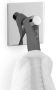 ZACK Duplo zelfklevende handdoekhaak 5cm vierkant glans RVS - Thumbnail 1