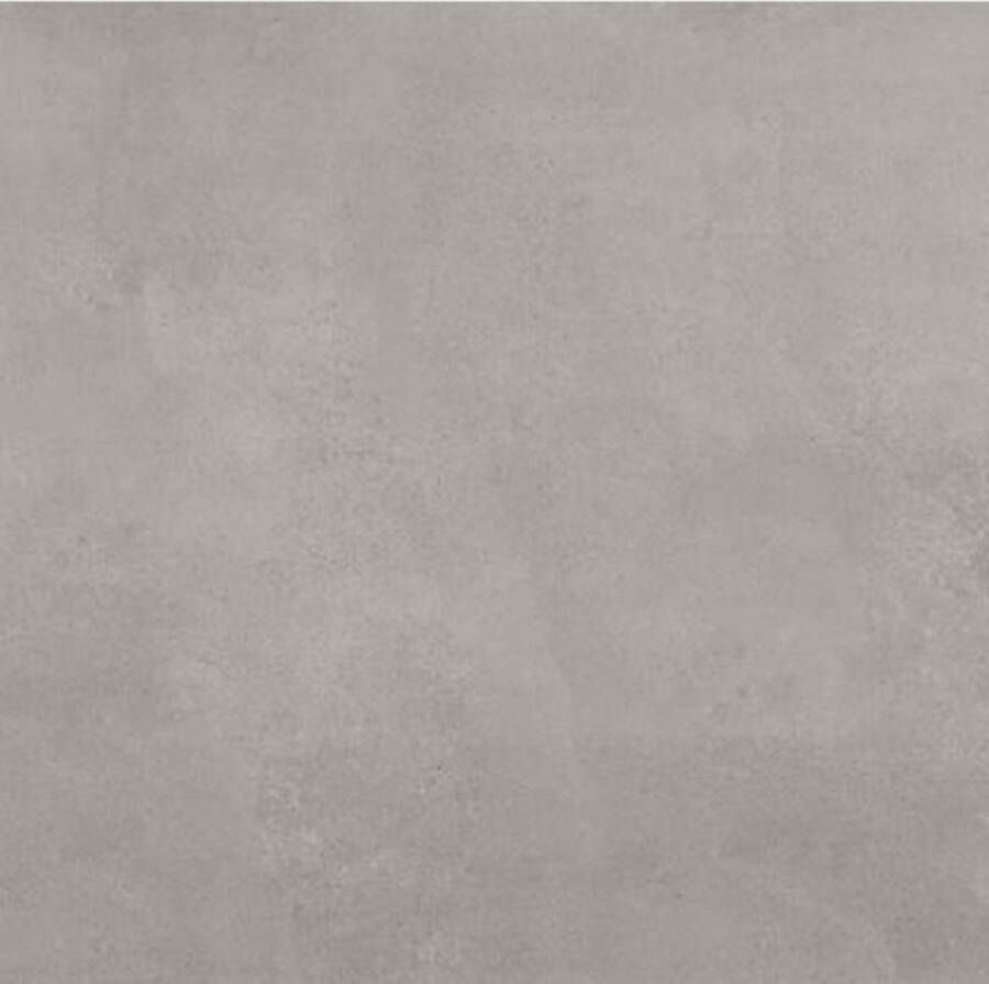 Argenta Vloertegel Powder 60x60x1 cm Argent 1 44 M2