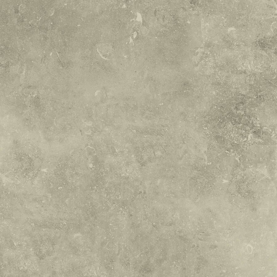 Castelvetro Vloertegel Absolute 60x30cm Beige Gerectificeerd