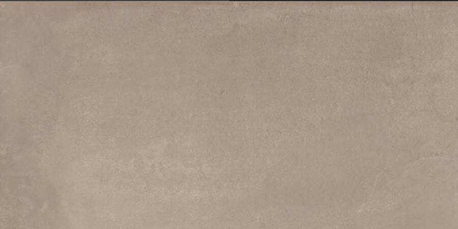 Castelvetro Vloer- wandtegel Concept Land 60x30cm muddy mat gerectificeerd