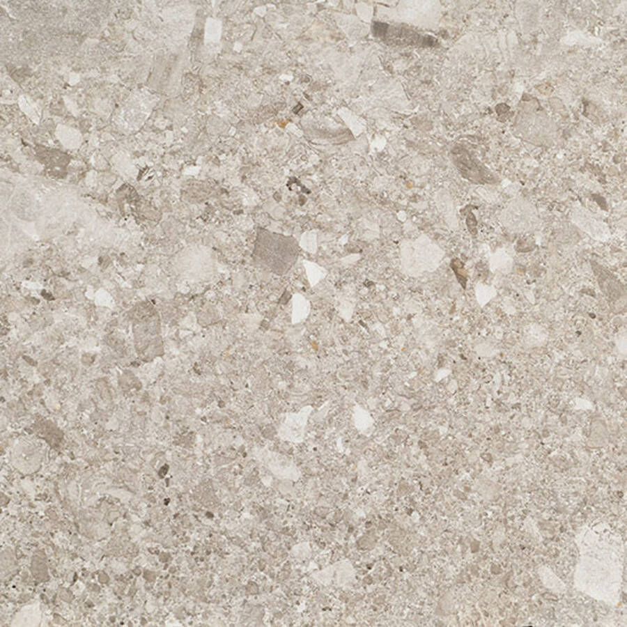 Fioranese Vloer- wandtegel Frammenta 60x60cm grigio chiaro satijnglans gerectificeerd