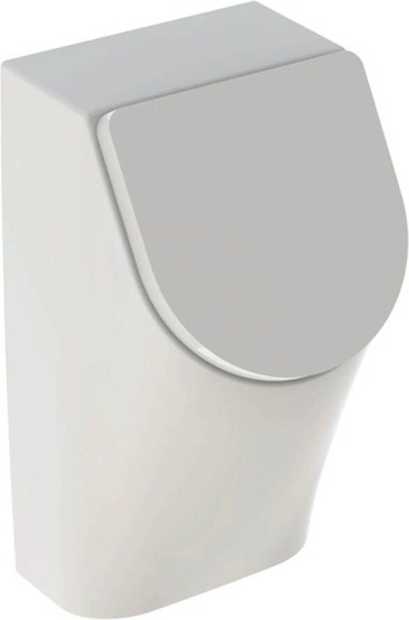 Geberit 300 urinoir 32 5x30cm met achterinlaat met urinoirdeksel wit s8602600000g