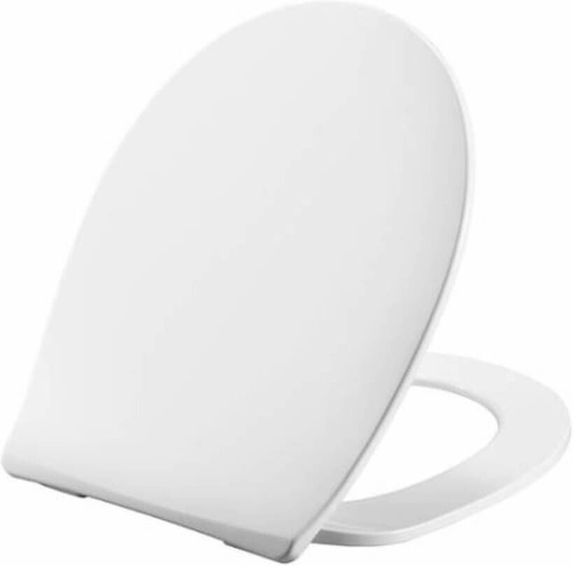 Pressalit Chilli wczitting softclose & quickrelease scharniermodel DL2 wit 1076000-dl2999