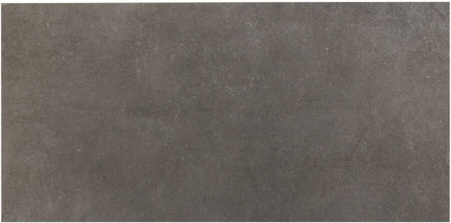 Saqu Concrete Collection vloertegel gerectificeerd 30x60cm donker grijs