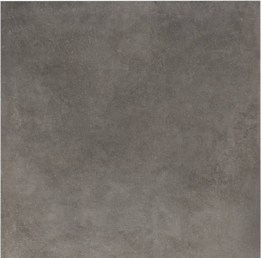 Saqu Concrete Collection vloertegel gerectificeerd 60x60cm donker grijs