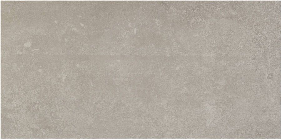 Terratinta Stone Design vloertegel gerectificeerd 60x30cm cinnamon