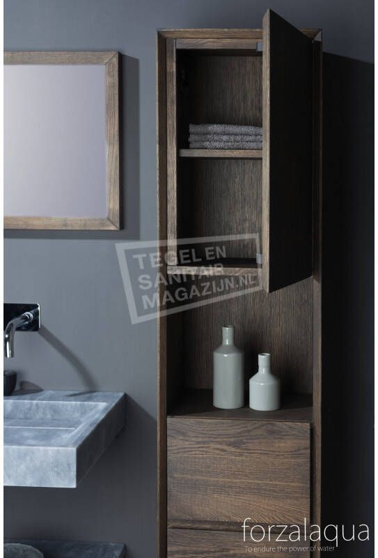 Forzalaqua Todi Spiegel 100x50x2cm met Lijst 4cm Charcoal Massief Eiken