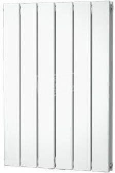 Leuk vinden Paradox Gezamenlijke selectie Plieger Cavallino Dubbel verticale radiator (450x663) 611 Watt Wit -  Sanitair.nl