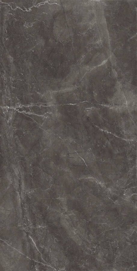 Baldocer Cerámica Bayona Grey Pulido 120x240 glans rett