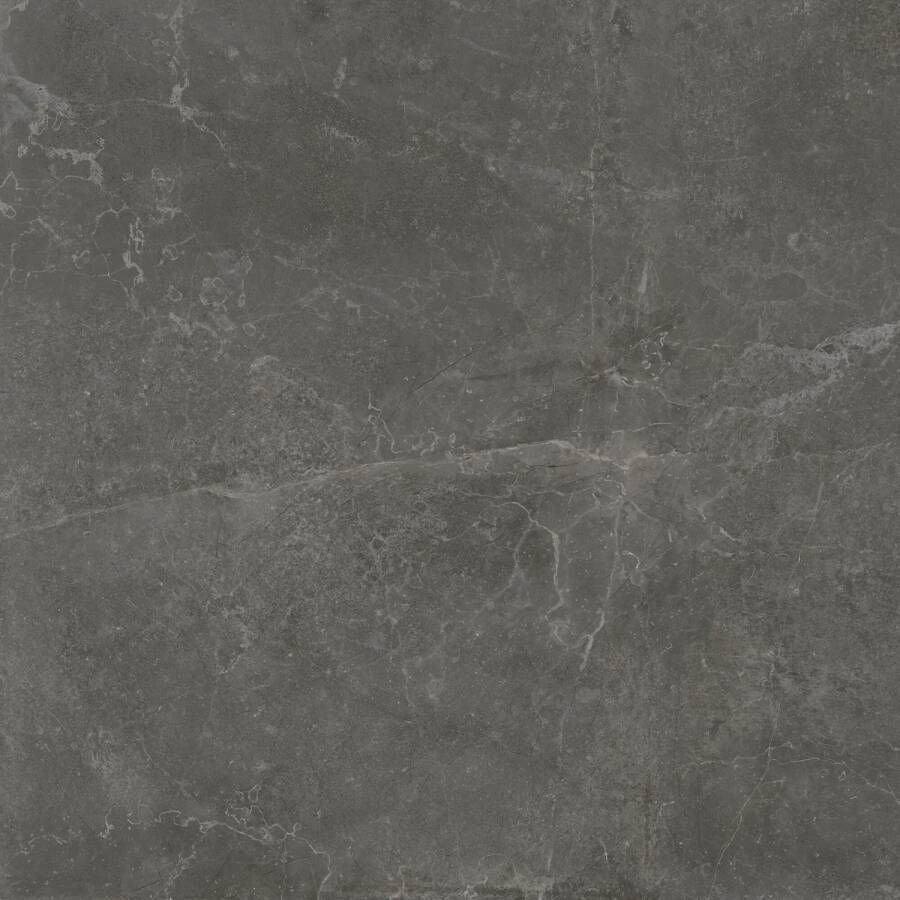 Baldocer Cerámica Concept Black gepolijst 120x120 rett