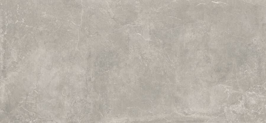 Baldocer Cerámica Concept Grey gepolijst 120x260 rett