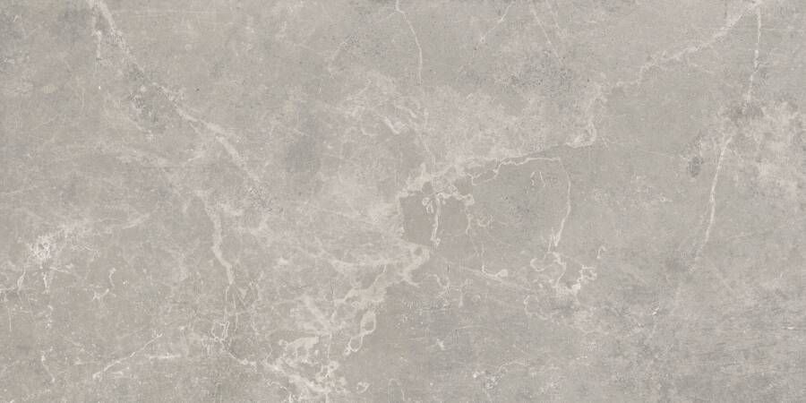 Baldocer Cerámica Concept Grey gepolijst 60x120 rett