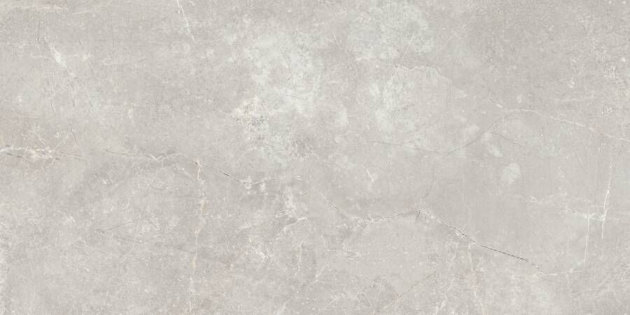 Baldocer Cerámica Concept Grey R11 anti-slip 60x120 rett