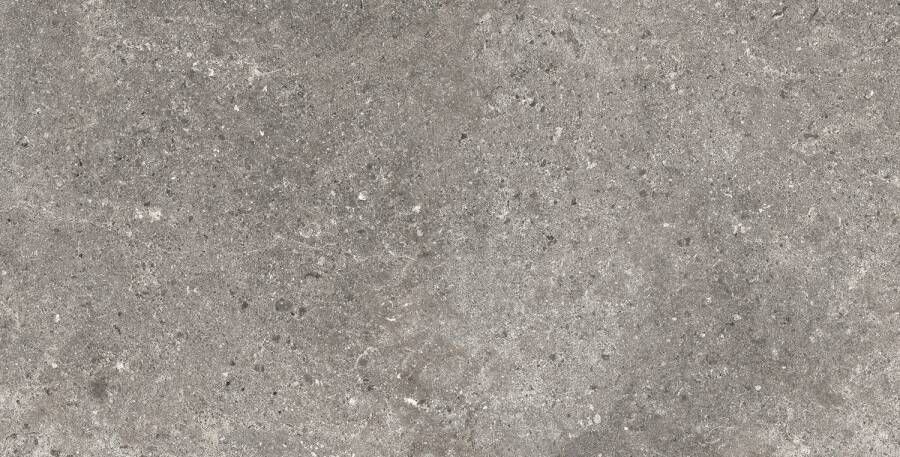 Baldocer Cerámica Stoneland Grey mat 60x120 rett