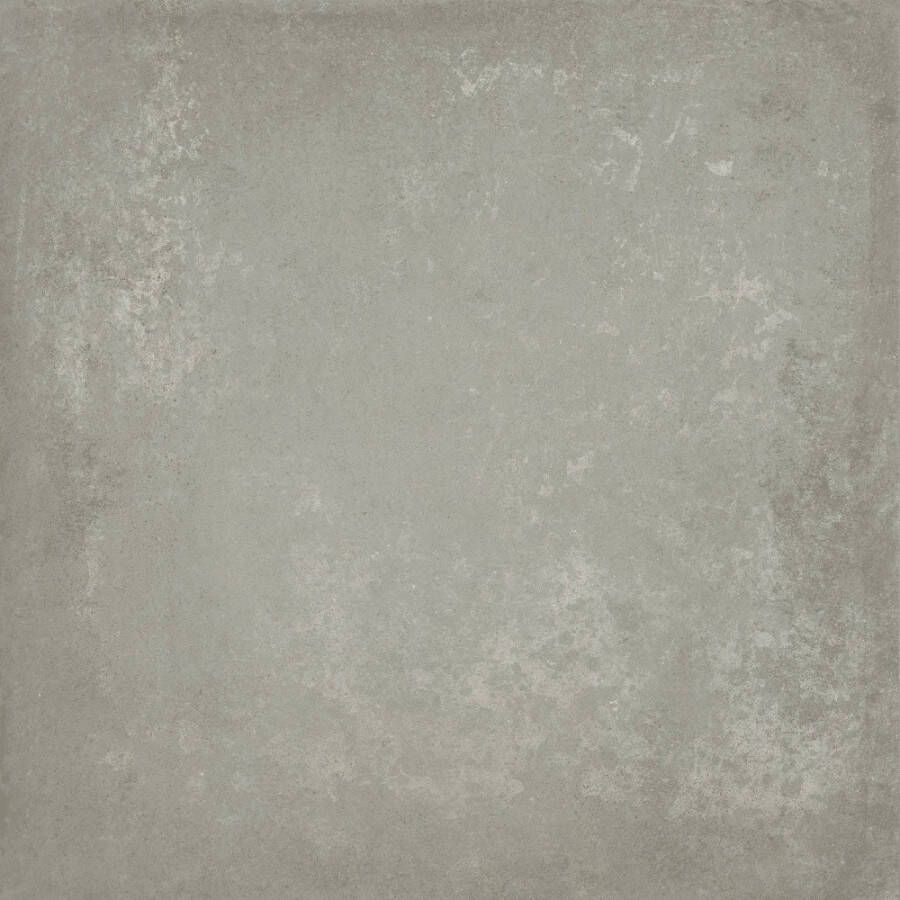 Baldocer Ceramica Grafton wand- en vloertegel 60x60cm 10mm Vierkant gerectificeerd Betonlook Grijs mat SW07310902-2