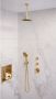 Brauer Gold Edition Regendoucheset inbouw hoofddouche 20cm plafondarm 3 gladde knoppen handdouche rond 3 standen PVD geborsteld goud 5-GG-029 - Thumbnail 2