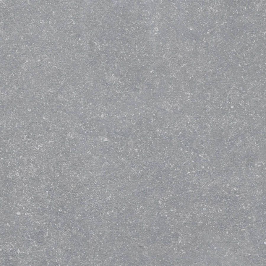 Cifre Ceramica Baldocer Ceramica Pierre wand- en vloertegel 60x60cm Vierkant 10mm gerectificeerd Natuursteen look Pierre grey SW07310945-1