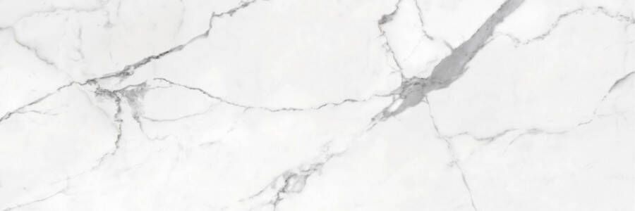 Cifre Cerámica Statuario keramische vloer- en wandtegel marmerlook gerectificeerd 40 x 120 cm glanzend wit zwart