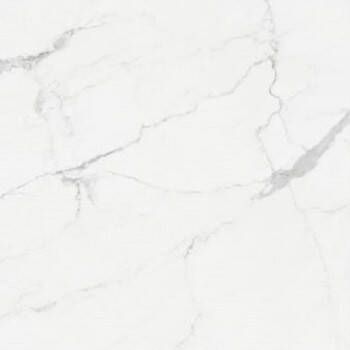 Vloertegel Marmer look wit mat 60x60 rett