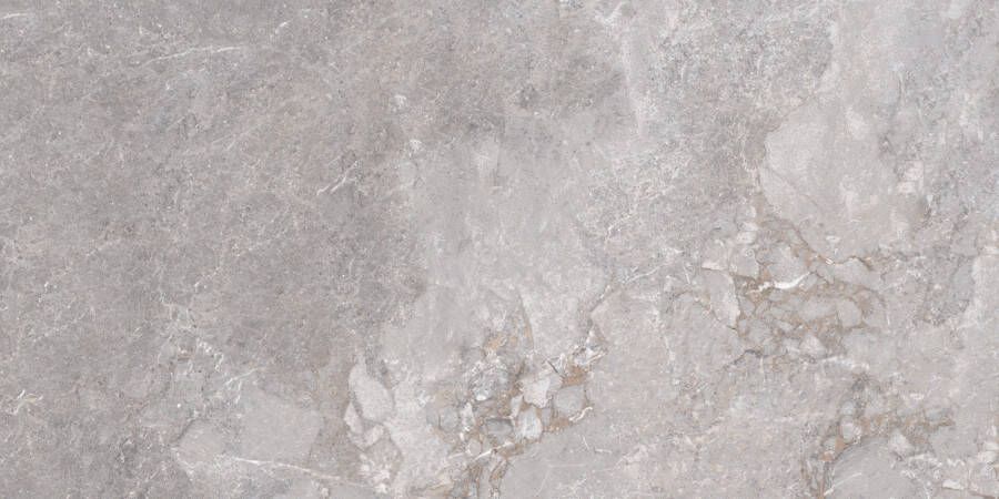 Edimax Astor Ceramiche Golden Age Grey 60x120 rett