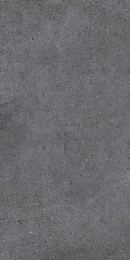 EnergieKer Brera Vloer- en wandtegel 60x120cm gerectificeerd mat Zwart SW07314598-5