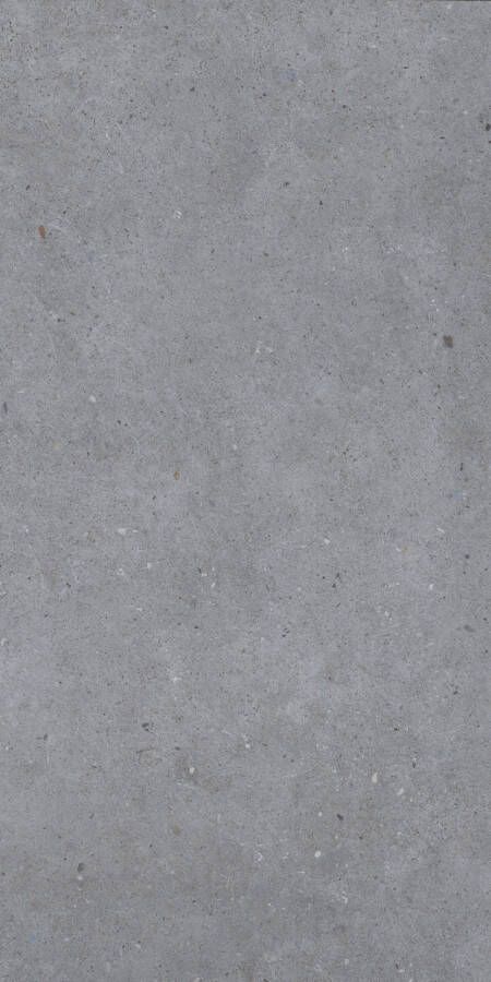 EnergieKer Brera Vloer- en wandtegel 60x120cm gerectificeerd mat Grijs SW07314598-3