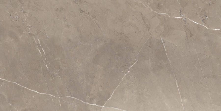 EnergieKer Pietragrey Taupe 60x120 rett