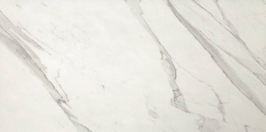 Fap Ceramiche wand- en vloertegel 30x60cm 10mm Rechthoek gerectificeerd Marmerlook Wit zwart mat SW07310511-5