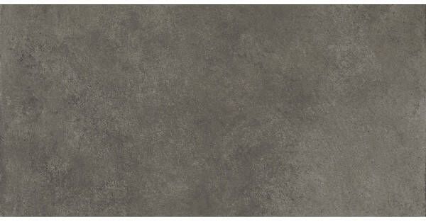 Herberia Ceramiche wand- en vloertegel 30x60cm 10mm Rechthoek gerectificeerd Betonlook Antraciet mat SW0731114