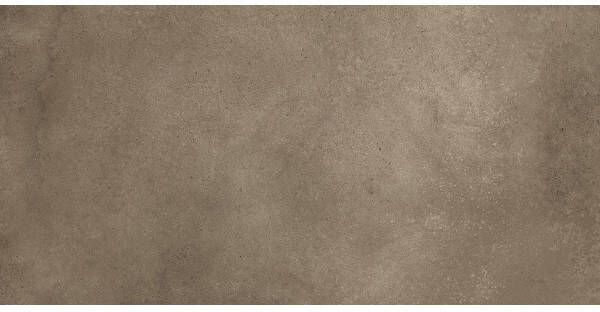 Herberia Ceramiche wand- en vloertegel 30x60cm 10mm Rechthoek gerectificeerd Betonlook Taupe mat SW0731116
