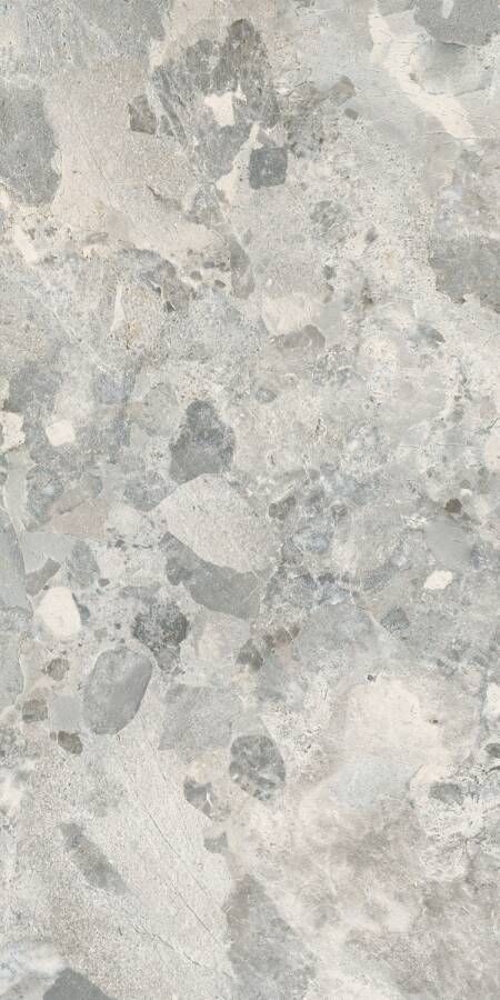 STN Cerámica Larocca Grey gepolijst 60x120 rett