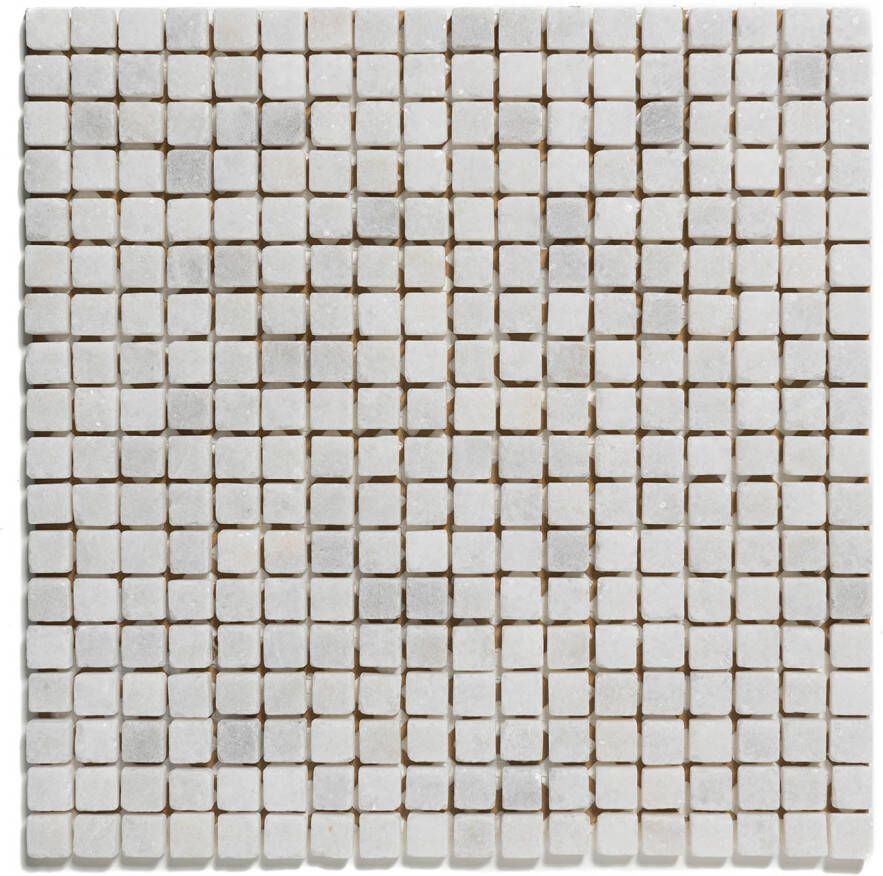 The Mosaic Factory Mozaiek Natural Stone Marmer Cararra Anticato 1 5x1 5