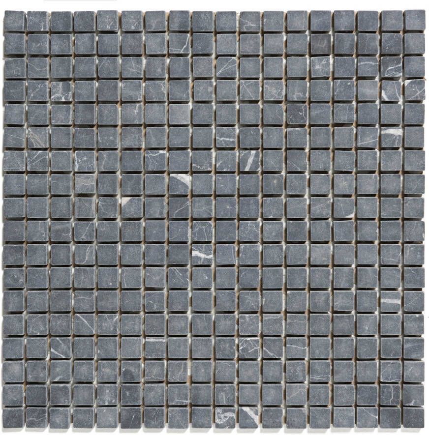 The Mosaic Factory Mozaiek Natural Stone Marmer Nero Anticato 1 5x1 5